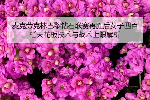 mai-ke-lao-ke-lin-ba-li-zuan-shi-lian-sai-zai-sheng-hou-nv-zi-si-bai-lan-tian-hua-ban-ji-shu-yu-zhan-shu-shang-xian-jie-2-327.jpg
