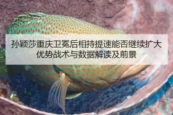 孙颖莎重庆卫冕后相持提速能否继续扩大优势战术与数据解读及前景